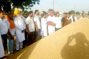 Ghagga Paddy Procurement: ਘੱਗਾ ਮੰਡੀ ’ਚ ਸ਼ੁਰੂ ਹੋਈ ਝੋਨੇ ਦੀ ਖਰੀਦ, ਕਿਸਾਨਾਂ ਨੂੰ ਲੈ ਕੇ ਲਿਆ ਗਿਆ ਵੱਡਾ ਫੈਸਲਾ