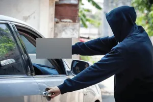 Organized Crime: ਸੰਗਠਿਤ ਅਪਰਾਧ ਦੀ ਵਧਦੀ ਚੁਣੌਤੀ ਅਤੇ ਸੁਰੱਖਿਆ ਪ੍ਰਬੰਧ