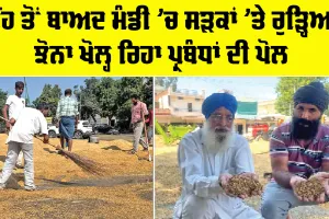 Patiala News: ਮੀਂਹ ਤੋਂ ਬਾਅਦ ਮੰਡੀ ’ਚ ਸੜਕਾਂ ’ਤੇ ਰੁੜ੍ਹਿਆ ਝੋਨਾ ਖੋਲ੍ਹ ਰਿਹਾ ਪ੍ਰਬੰਧਾਂ ਦੀ ਪੋਲ