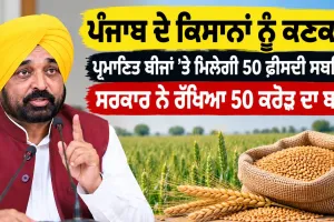 Punjab Farmers News: ਪੰਜਾਬ ਦੇ ਕਿਸਾਨਾਂ ਨੂੰ ਕਣਕ ਦੇ ਪ੍ਰਮਾਣਿਤ ਬੀਜਾਂ ’ਤੇ ਮਿਲੇਗੀ 50 ਫ਼ੀਸਦੀ ਸਬਸਿਡੀ, ਸਰਕਾਰ ਨੇ ਰੱਖਿਆ 50 ਕਰੋੜ ਦਾ ਬਜਟ