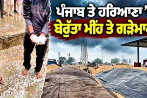 Punjab Hailstorm News: ਪੰਜਾਬ ਤੇ ਹਰਿਆਣਾ ’ਚ ਬੇਰੁੱਤਾ ਮੀਂਹ ਤੇ ਗੜੇਮਾਰੀ