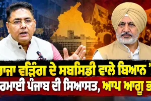 Raja Warring News: ਰਾਜਾ ਵੜਿੰਗ ਦੇ ਸਬਸਿਡੀ ਵਾਲੇ ਬਿਆਨ ’ਤੇ ਗਰਮਾਈ ਪੰਜਾਬ ਦੀ ਸਿਆਸਤ, ਆਪ ਆਗੂ ਭਖੇ