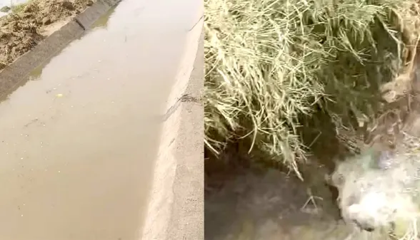 Canal Breach News: ਪਹਿਲੇ ਹੀ ਨਹਿਰੀ ਪਾਣੀ ਦੇ ਦਬਾਅ ਅੱਗੇ ਨਾ ਟਿਕ ਸਕਿਆ ਰੋਹੀੜਾ ਮਾਈਨਰ ਰਜਵਾਹਾ