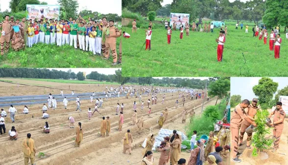 Tree Plantation: ਪੂਜਨੀਕ ਗੁਰੂ ਸੰਤ ਡਾ. ਐੱਮਐੱਸਜੀ ਦੇ ਅਵਤਾਰ ਦਿਵਸ ’ਤੇ ਧਰਤੀ ਨੂੰ ਹਰਿਆਲੀ ਦਾ ਤੋਹਫਾ