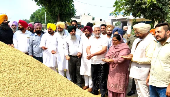 Paddy Procurement Punjab: ਪੰਜਾਬ ਦੀਆਂ ਮੰਡੀਆਂ ਵਿੱਚ 8.50 ਲੱਖ ਮੀਟਰਕ ਟਨ ਝੋਨੇ ਦੀ ਆਮਦ, 7.50 ਲੱਖ ਮੀਟਰਕ ਟਨ ਦੀ ਖਰੀਦ: ਮੰਤਰੀ ਲਾਲ ਚੰਦ ਕਟਾਰੂਚੱਕ