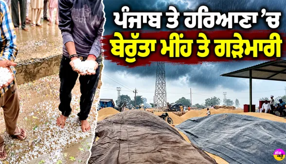 Punjab Hailstorm News: ਪੰਜਾਬ ਤੇ ਹਰਿਆਣਾ ’ਚ ਬੇਰੁੱਤਾ ਮੀਂਹ ਤੇ ਗੜੇਮਾਰੀ