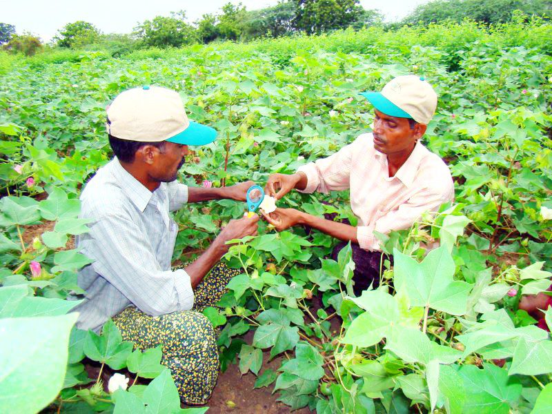 ਕਿਸਾਨਾਂ ਲਈ ਵਰਦਾਨ ਸਾਬਿਤ ਹੋ ਰਿਹੈ ‘ਅੰਨਦਾਤਾ ਬਚਾਓ ਕੈਂਪ’