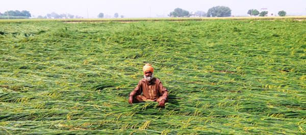 ਕਿਸਾਨ ਕਰਜ਼ਾ ਮਾਫ਼ੀ ਨਾਲ ਬਦਲਣਗੇ ਹਾਲਾਤ