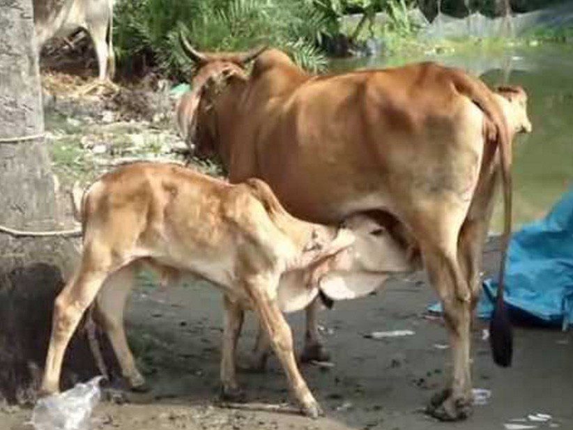 ਅਸਲ ਇਨਸਾਨੀਅਤ 