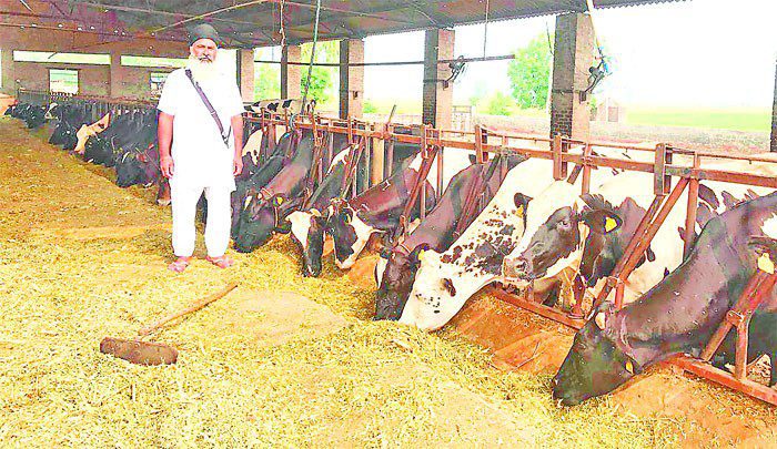 ਸੁਖਜਿੰਦਰ ਨੂੰ ਮਿਲਿਆ ਡੇਅਰੀ ਦਾ ਸੁਖ