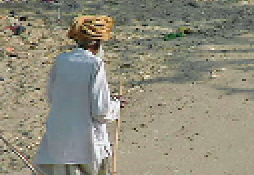 ਵੱਡੀ ਸਮਾਜਿਕ ਚੁਣੌਤੀ ਬਣ ਚੁੱਕਿਐ ਅੱਜ ਦੇ ਸਮੇਂ ਦਾ ਬੁਢਾਪਾ