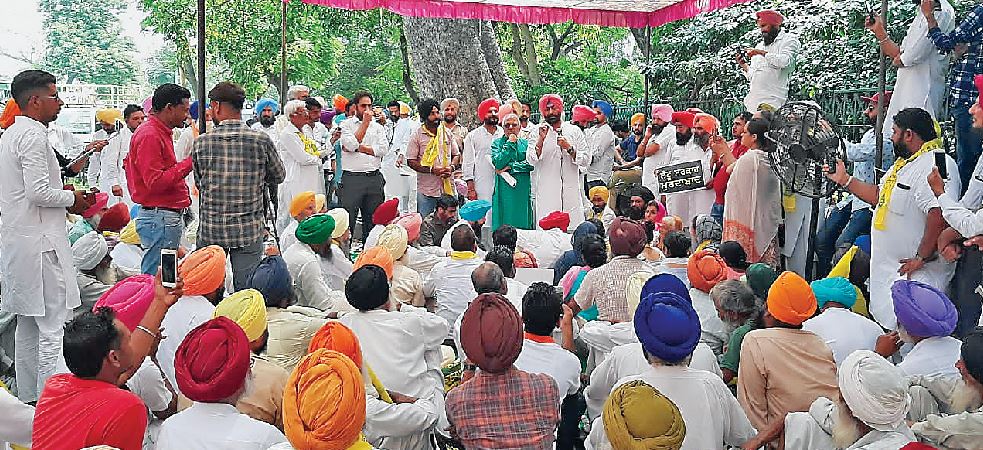 ਪੰਜਾਬ ਡੈਮੋਕ੍ਰੇਟਿਕ ਅਲਾਇੰਸ ਵੱਲੋਂ ਪਾਵਰਕੌਮ ਦੇ ਮੁੱਖ ਦਫ਼ਤਰ ਅੱਗੇ ਧਰਨਾ