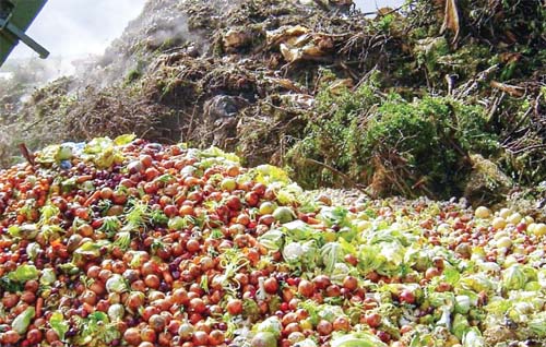 ਭੋਜਨ ਦੀ ਬਰਬਾਦੀ ਰੋਕਣ ਦੀ ਵੰਗਾਰ