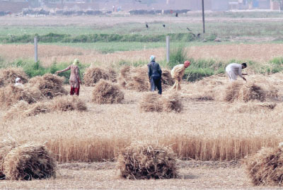 ਖੇਤਾਂ ਵਿੱਚ ਨੱਚਦੀ ਬਹਾਰ ਚੰਗੀ ਲੱਗਦੀ