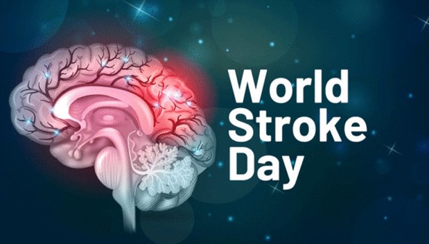 World Stroke Day 2022 : ਕਿਉਂ ਮਨਾਇਆ ਜਾਂਦਾ ਹੈ ਵਿਸ਼ਵ ਸਟ੍ਰੋਕ ਦਿਵਸ?