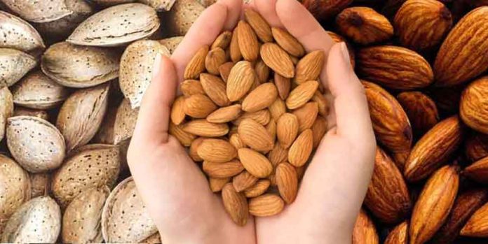 ਬਦਾਮ ਦੇ ਅਜਿਹੇ ਫਾਇਦੇ ਕਿਸੇ ਨੇ ਨਹੀਂ ਦੱਸੇ | Badam Khane Ke Fayde