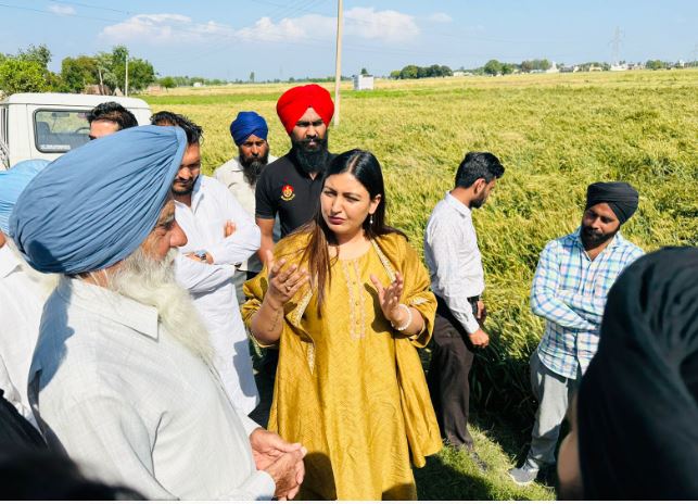 ਅਨਮੋਲ ਗਗਨ ਮਾਨ ਨੇ ਖੇਤਾਂ ’ਚ ਜਾ ਕੇ ਕਿਸਾਨਾਂ ਦੇ ਪੁੰਝੇ ਹੰਝੂ