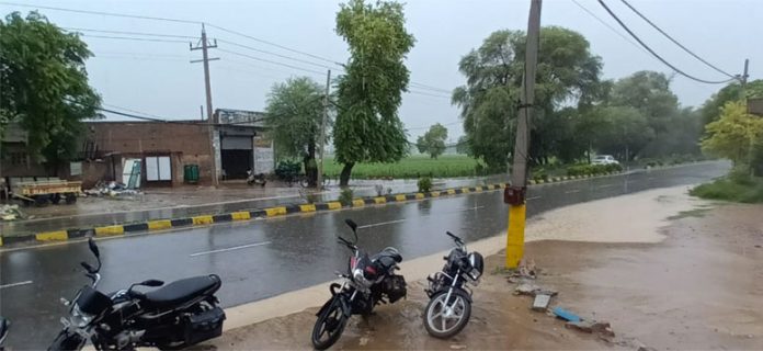 ਸਰਸਾ ’ਚ ਤੇਜ਼ ਹਨ੍ਹੇਰੀ ਨਾਲ ਪਿਆ ਮੀਂਹ, ਗਰਮੀ ਤੋਂ ਮਿਲੀ ਰਾਹਤ
