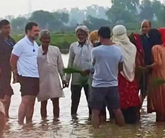 ਕੱਦੂ ਕਰ ਰਿਹਾ ਸੀ ਕਿਸਾਨ ਤਾਂ ਅਚਾਨਕ ਪਹੁੰਚ ਗਏ ਰਾਹੁਲ ਗਾਂਧੀ, ਦੇਖੋ ਤਸਵੀਰਾਂ