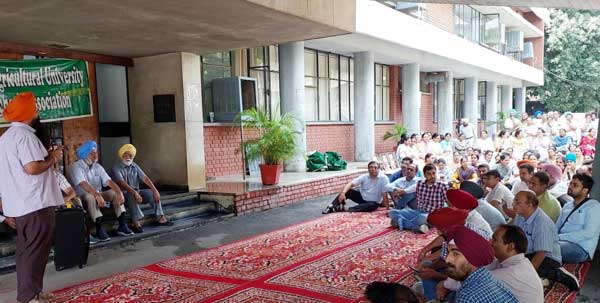 Punjabi Agriculture University