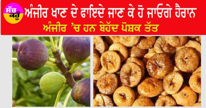Anjeer Benefits For Health: ਸਰੀਰ ਨੂੰ ਸਿਹਤਮੰਦ ਰੱਖਣਾ ਕਿੰਨਾ ਆਸਾਨ ਹੈ, ਅੰਜੀਰ ਦੇ ਫਾਇਦੇ ਜਾਣ ਕੇ ਹੋ ਜਾਓਗੇ ਹੈਰਾਨ!