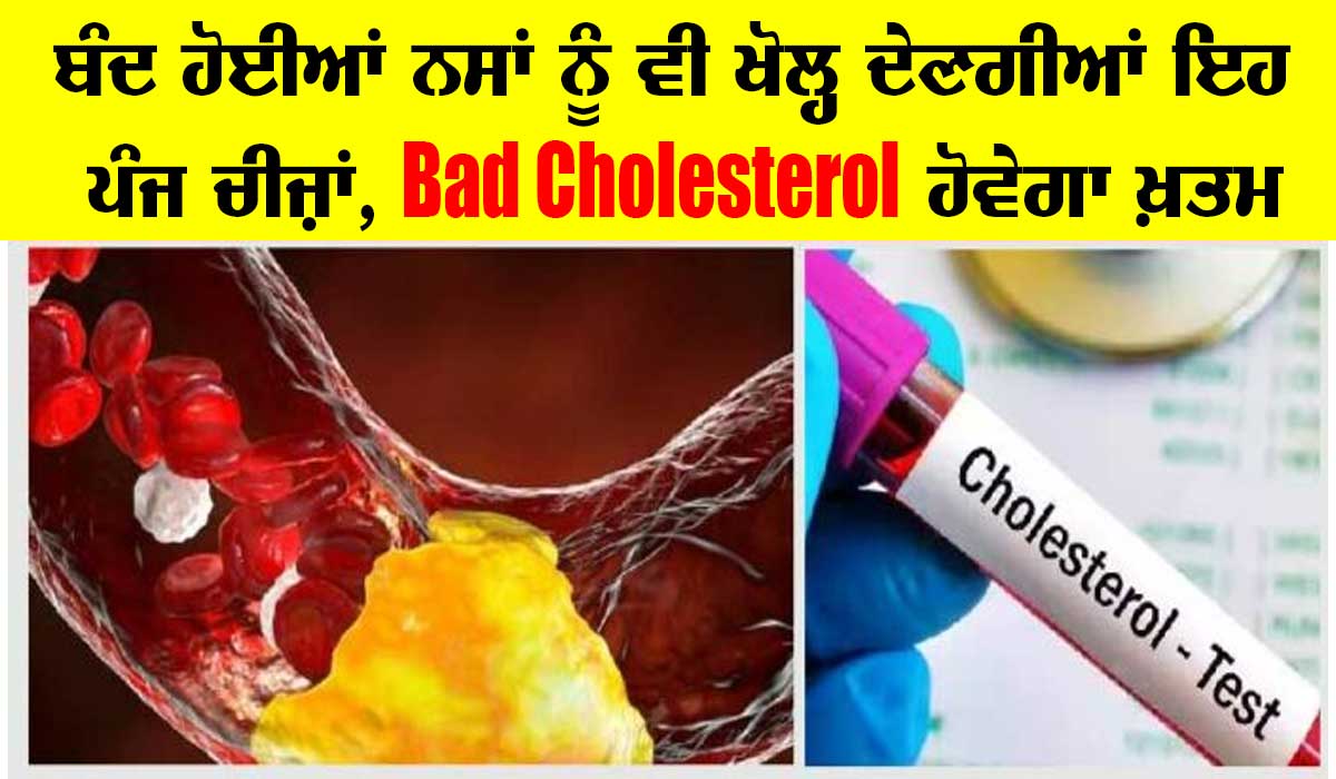 Bad Cholesterol ਨੂੰ ਪਿੰਘਲਾ ਕੇ ਖੂਨ ਤੋਂ ਵੱਖ ਕਰ ਦੇਣਗੀਆਂ ਇਹ ਚੀਜ਼ਾਂ, ਪੜ੍ਹੋ ਤੇ ਸਿਹਤਮੰਦ ਰਹੋ
