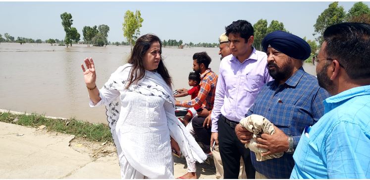 ਡਿਪਟੀ ਕਮਿਸ਼ਨਰ ਵੱਲੋਂ ਹੜ੍ਹ ਪ੍ਰਭਾਵਿਤ ਪਿੰਡਾਂ ’ਚ ਗਿਰਦਾਵਰੀ ਦੇ ਕੰਮ ਦਾ ਜਾਇਜ਼ਾ