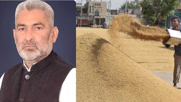 ਝੋਨੇ ਦੇ ਨਿਰਵਿਘਨ ਖਰੀਦ ਲਈ ਪੰਜਾਬ ਸਰਕਾਰ ਤਿਆਰ, 1 ਅਕਤੂਬਰ ਤੋਂ ਸ਼ੁਰੂ ਹੋਏਗੀ ਖਰੀਦ