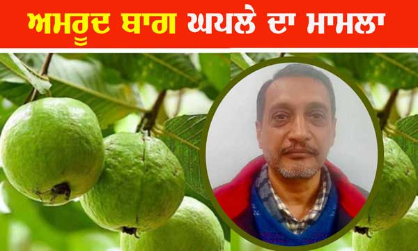 ਅਮਰੂਦ ਬਾਗ ਘੁਟਾਲਾ : ਜਸਪ੍ਰੀਤ ਸਿੱਧੂ ਦਾ ਤਿੰਨ ਦਿਨਾਂ ਦਾ ਰਿਮਾਂਡ ਹੋਰ ਵਧਿਆ