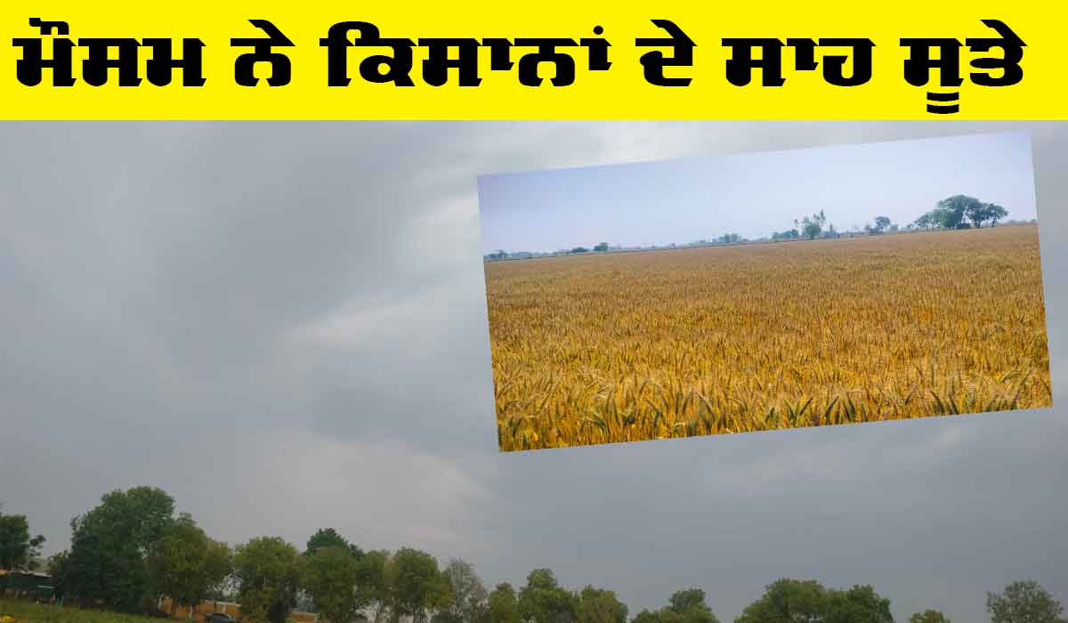 Weather Update: ਹਾੜੀ ਰੁੱਤੇ ਮੀਂਹ ਨੇ ਕਿਸਾਨ ਫਿਕਰਾਂ ‘ਚ ਪਾਏ