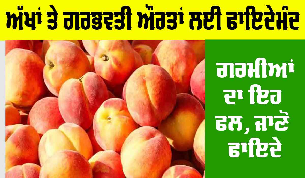 Aadu Fruit Benefits: ਅੱਖਾਂ ਤੇ ਗਰਭਵਤੀ ਔਰਤਾਂ ਲਈ ਫਾਇਦੇਮੰਦ ਹੈ ਗਰਮੀਆਂ ਦਾ ਇਹ ਖਾਸ ਫਲ, ਜਾਣੋ ਫਾਇਦੇ