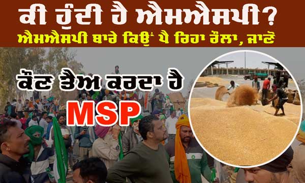 ਕੀ ਹੁੰਦੀ ਹੈ MSP ? ਕੌਣ ਤੈਅ ਕਰਦਾ ਹੈ ਅਤੇ ਕਿਉਂ ਕਿਸਾਨ ਕਰ ਰਹੇ ਹਨ MSP ਕਾਨੂੰਨ ਦੀ ਮੰਗ