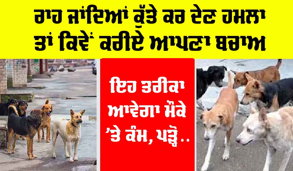 Dog Attack Tips: ਰਾਹ ਜਾਂਦਿਆਂ ਕੁੱਤੇ ਕਰ ਦੇਣ ਹਮਲਾ ਤਾਂ ਕਿਵੇਂ ਕਰੀਏ ਬਚਾਅ, ਇਹ ਤਰੀਕਾ ਆਵੇਗਾ ਮੌਕੇ ‘ਤੇ ਕੰਮ!