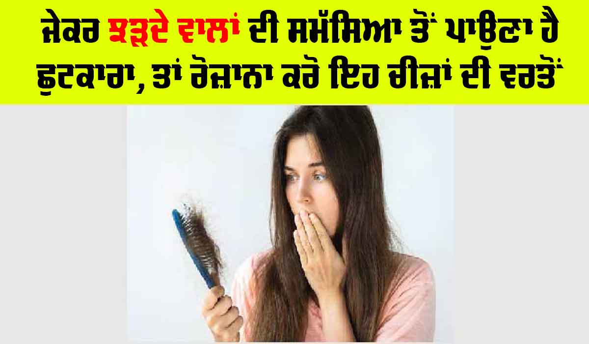 Hair Fall In Monsoon: ਜੇਕਰ ਝੜਦੇ ਵਾਲਾਂ ਦੀ ਸਮੱਸਿਆ ਤੋਂ ਪਾਉਣਾ ਹੈ ਛੁਟਕਾਰਾ, ਤਾਂ ਰੋਜ਼ਾਨਾ ਕਰੋ ਇਹ ਚੀਜ਼ਾਂ ਦੀ ਵਰਤੋਂ