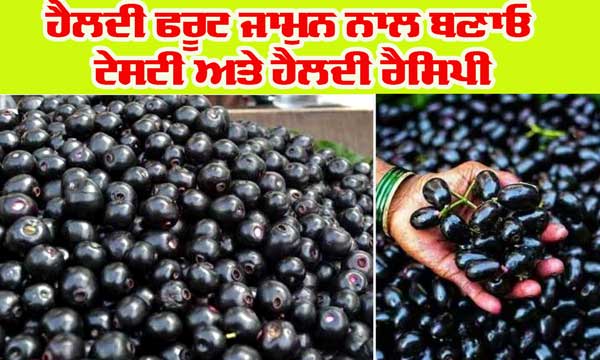 ਪੋਸ਼ਕ ਤੱਤਾਂ ਨਾਲ ਭਰਪੂਰ ਜਾਮੁਨ ਨਾਲ ਬਣਾਓ ਟੇਸਟੀ ਅਤੇ ਹੈਲਦੀ ਰੈਸਿਪੀ