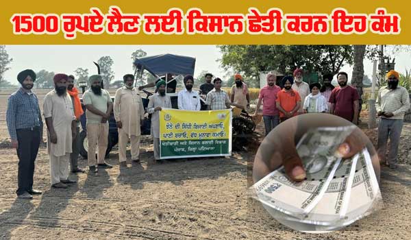 ਝੋਨੇ ਦੀ ਸਿੱਧੀ ਬਿਜਾਈ ਕਰਨ ਵਾਲੇ ਕਿਸਾਨ 1500 ਰੁਪਏ ਲੈਣ ਲਈ ਖੇਤੀਬਾੜੀ ਵਿਭਾਗ ਦੇ ਇਨ੍ਹਾਂ ਨੰਬਰਾਂ ’ਤੇ ਕਰਨ ਸੰਪਰਕ