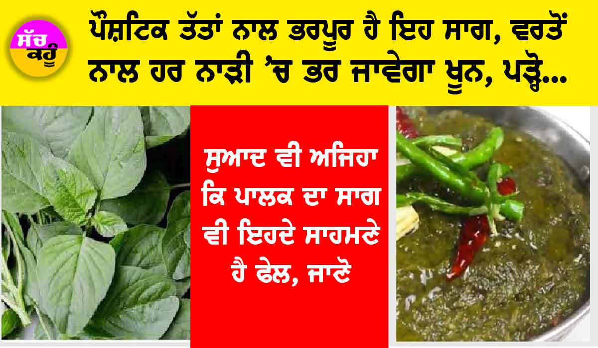 Chaulai Saag Benefits: ਪੌਸ਼ਟਿਕ ਤੱਤਾਂ ਨਾਲ ਭਰਪੂਰ ਹੈ ਇਹ ਸਾਗ, ਵਰਤੋਂ ਨਾਲ ਹਰ ਨਾੜੀ ’ਚ ਭਰ ਜਾਵੇਗਾ ਖੂਨ, ਪੜ੍ਹੋ….