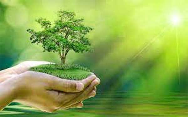 ਗੰਭੀਰ ਚੁਣੌਤੀ ਹੈ ਖੇਤੀ ’ਤੇ ਵਾਤਾਵਰਨ ਬਦਲਾਅ ਦਾ ਅਸਰ