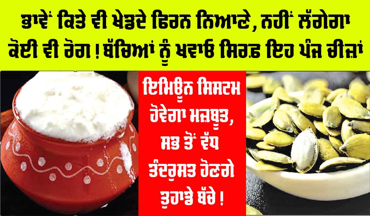 Food: ਬੱਚਿਆਂ ਨੂੰ ਜ਼ਰੂਰ ਖਵਾਓ ਇਹ ਪੰਜ ਰਾਮਬਾਣ ਚੀਜ਼ਾਂ, ਬੱਚੇ ਨਹੀਂ ਹੋਣਗੇ ਕਦੇ ਵੀ ਬਿਮਾਰ | Healthy Food Near Me