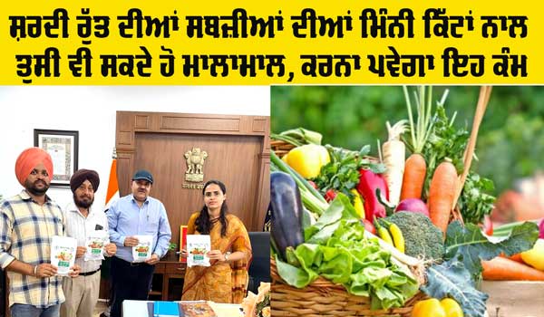 Winter Vegetables: ਸਰਦੀ ਰੁੱਤ ਦੀਆਂ ਸਬਜ਼ੀਆਂ ਦੀਆਂ ਇਨ੍ਹਾਂ ਮਿੰਨੀ ਕਿੱਟਾਂ ਨਾਲ ਤੁਸੀਂ ਪੈਦਾ ਕਰ ਸਕਦੇ ਹੋ 400 ਕਿੱਲੋ ਤਾਜ਼ੀ ਸਬਜ਼ੀ :  ਡੀਸੀ 