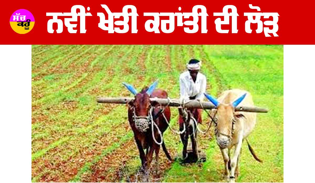 ਨਵੀਂ ਖੇਤੀ ਕਰਾਂਤੀ ਦੀ ਲੋੜ