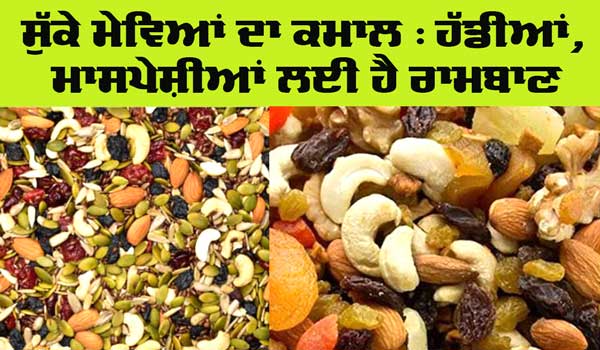 Dry Fruits Benefits: ਸੁੱਕੇ ਮੇਵਿਆਂ ਦਾ ਕਮਾਲ : ਹੱਡੀਆਂ, ਮਾਸਪੇਸ਼ੀਆਂ ਲਈ ਹੈ ਰਾਮਬਾਣ