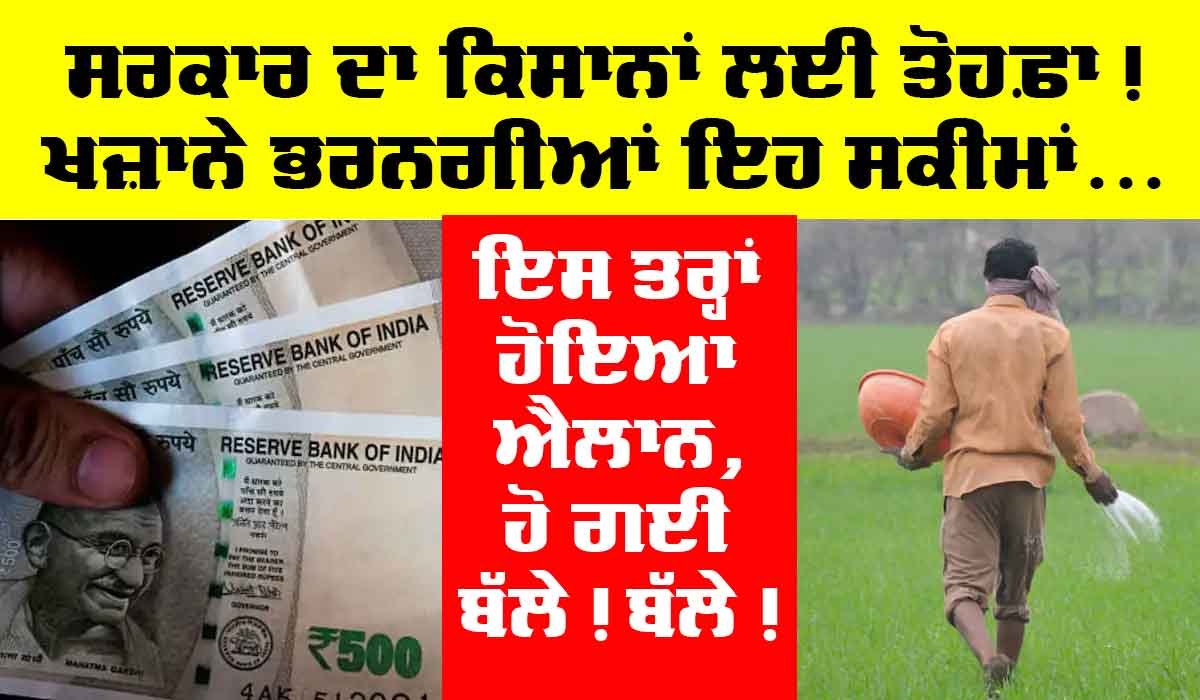 Government Schemes: ਕਿਸਾਨਾਂ ਦੇ ਖਜ਼ਾਨੇ ਭਰਨ ਲਈ ਸਰਕਾਰ ਨੇ ਲਿਆ ਵੱਡਾ ਫ਼ੈਸਲਾ, ਹੋਵੇਗੀ ਬੱਲੇ! ਬੱਲੇ!