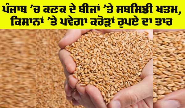 Punjab News: ਪੰਜਾਬ ’ਚ ਕਣਕ ਦੇ ਬੀਜਾਂ ’ਤੇ ਸਬਸਿਡੀ ਖਤਮ, ਕਿਸਾਨਾਂ ’ਤੇ ਪਵੇਗਾ ਕਰੋੜਾਂ ਰੁਪਏ ਦਾ ਭਾਰ