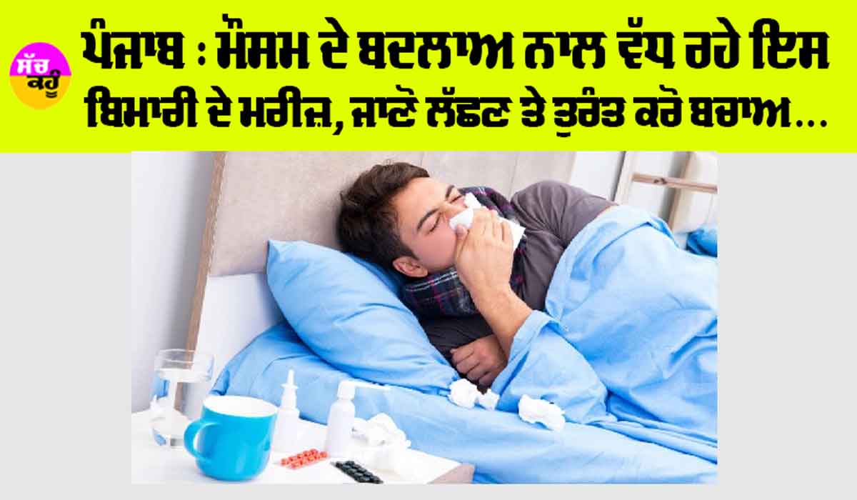 Punjab: ਮੌਸਮ ਦੇ ਬਦਲਾਅ ਨਾਲ ਵੱਧ ਰਹੇ ਇਸ ਬੀਮਾਰੀ ਦੇ ਮਰੀਜ਼, ਜਾਣੋ ਲੱਛਣ ਤੇ ਤੁਰੰਤ ਕਰੋ ਬਚਾਅ…