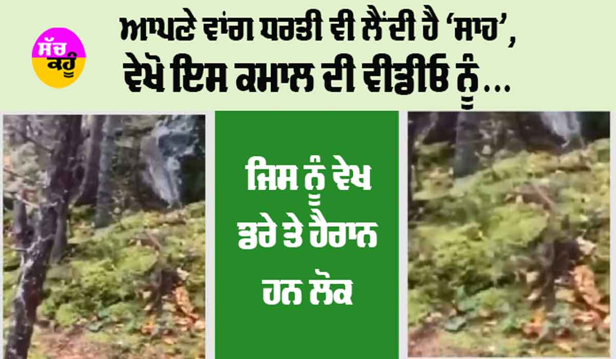 Trending News: ਆਪਣੇ ਵਾਂਗ ਧਰਤੀ ਵੀ ਲੈਂਦੀ ਹੈ ‘ਸਾਹ’, ਵੇਖੋ ਇਹ ਕਮਾਲ ਦੀ ਵੀਡੀਓ ਨੂੰ, ਜਿਸ ਨੂੰ ਵੇਖ ਡਰੇ ਤੇ ਹੈਰਾਨ ਹਨ ਲੋਕ…