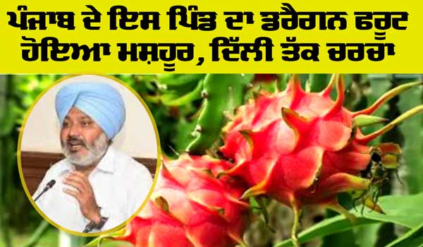 Dragon Fruit Punjab: ਪਿੰਡ ਰੋਗਲਾ ਦੇ ਡਰੈਗਨ ਫਰੂਟ ਦੀ ਦਿੱਲੀ ਦੇ ਵਿੱਚ ਹੋਈ ਚਰਚਾ