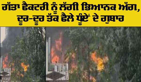 ਗੱਤਾ ਫੈਕਟਰੀ ਨੂੰ ਲੱਗੀ ਅੱਗ, ਨੇੜੇ ਗੈਸ ਏਜੰਸੀ ਹੋਣ ਕਾਰਨ ਸਹਿਮ ਦਾ ਮਾਹੌਲ
