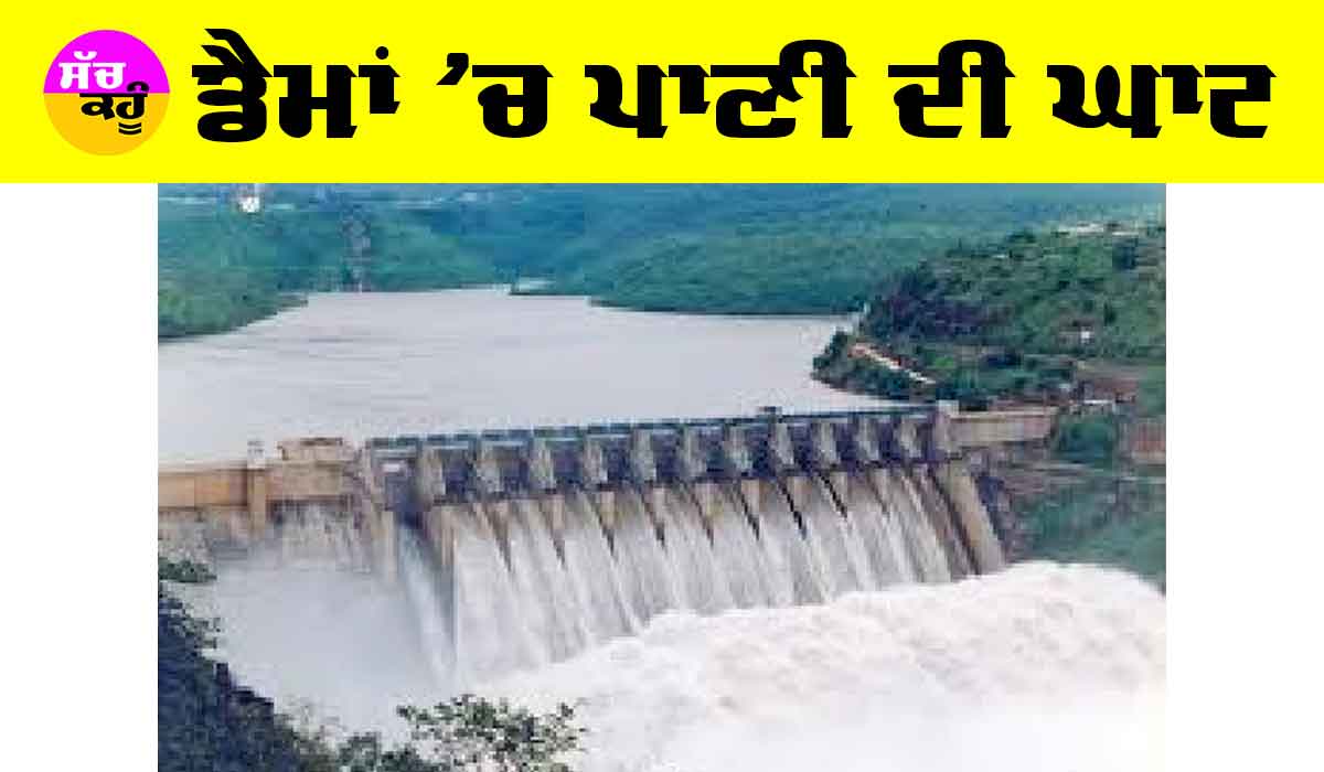 Punjab Water News: ਡੈਮਾਂ ’ਚ ਪਾਣੀ ਦੀ ਘਾਟ