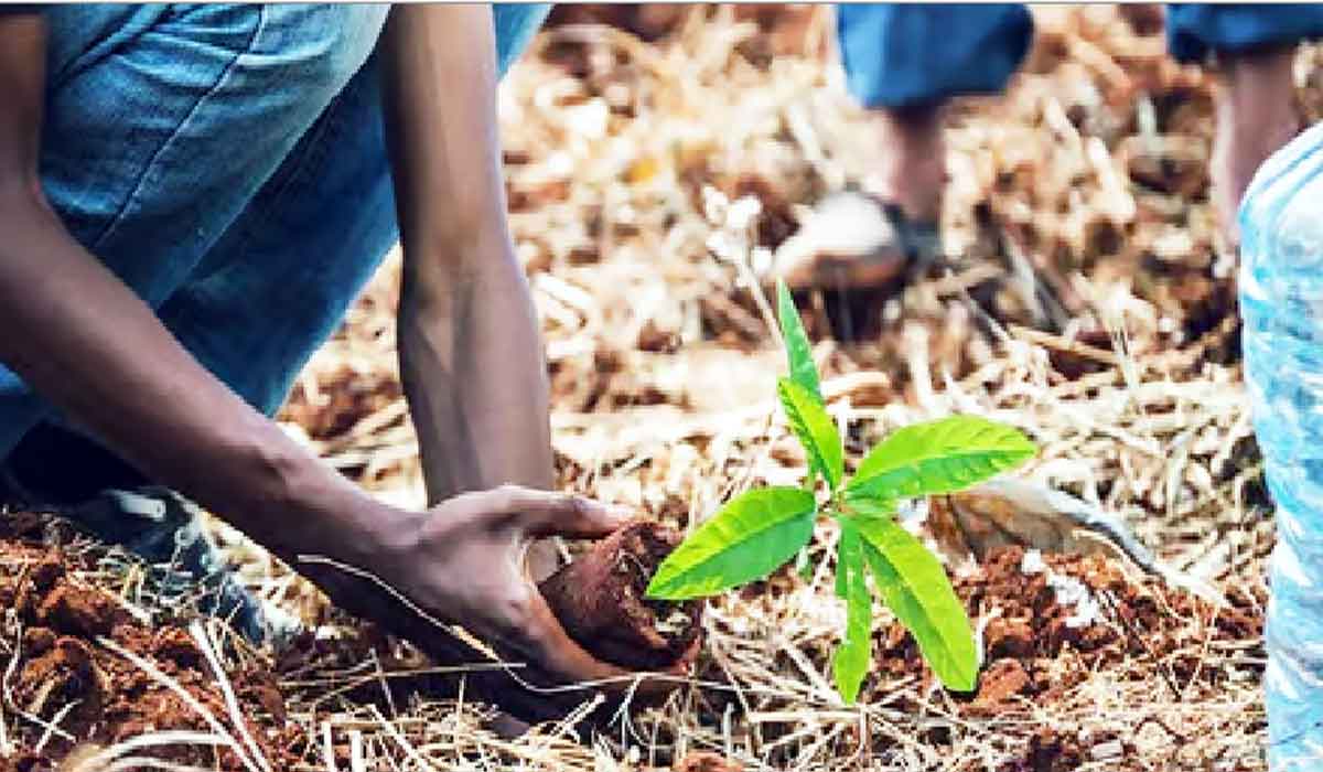 ਪਰੰਪਰਾਵਾਂ ਨਾਲ ਜੁੜੇ ਪਵਿੱਤਰ ਬਾਗਾਂ ਦੀ ਸੁਰੱਖਿਆ